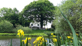 La maison de l'étang